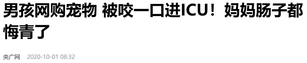 关于土拨鼠、卡皮巴拉这些宠物“新贵”，国家卫健委发声！