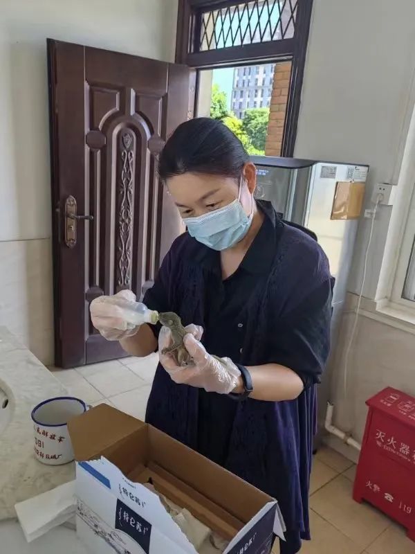 土拨鼠成了新晋网红，但再萌也别与这个小家伙亲密接触！