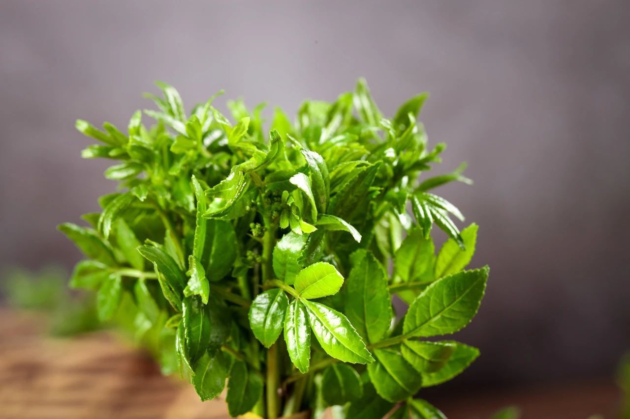 春天一定要吃的8种“芽”,错过再等一年! 春天一定要吃的8种“芽”,错过再等一年!