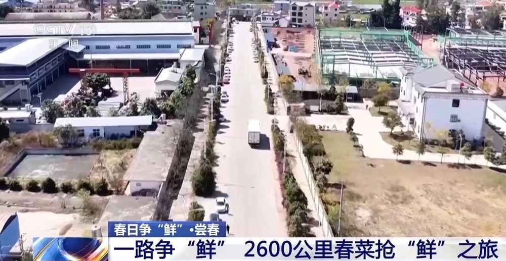 “舌尖上的春天”你尝到了吗？一起看春菜抢“鲜”之旅