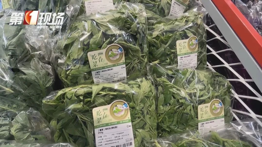 突然火了!这道菜和板蓝根重名?医生提醒 突然火了!这道菜和板蓝根重名?医生提醒