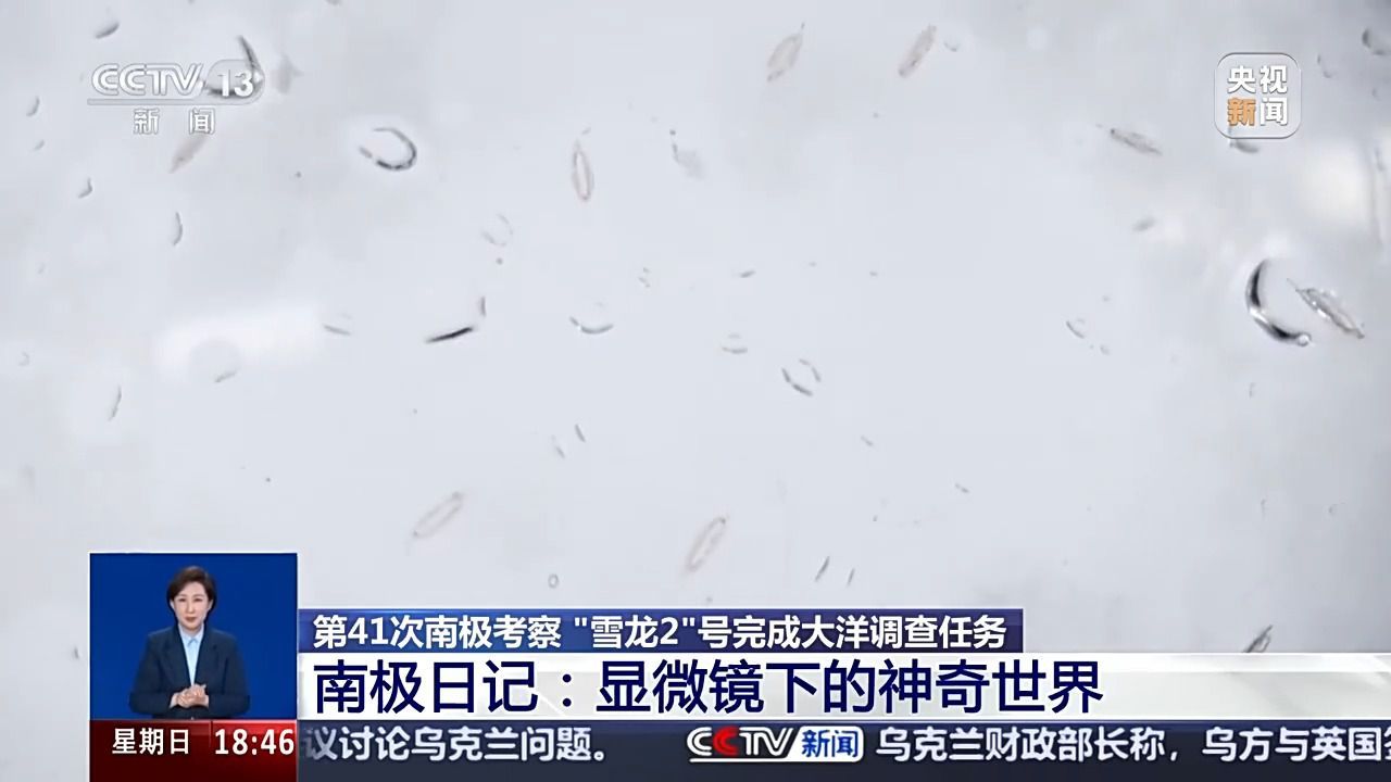 “雪龙2”号大洋考察完成哪些任务？捕捞“海天使”、穿越冰山……