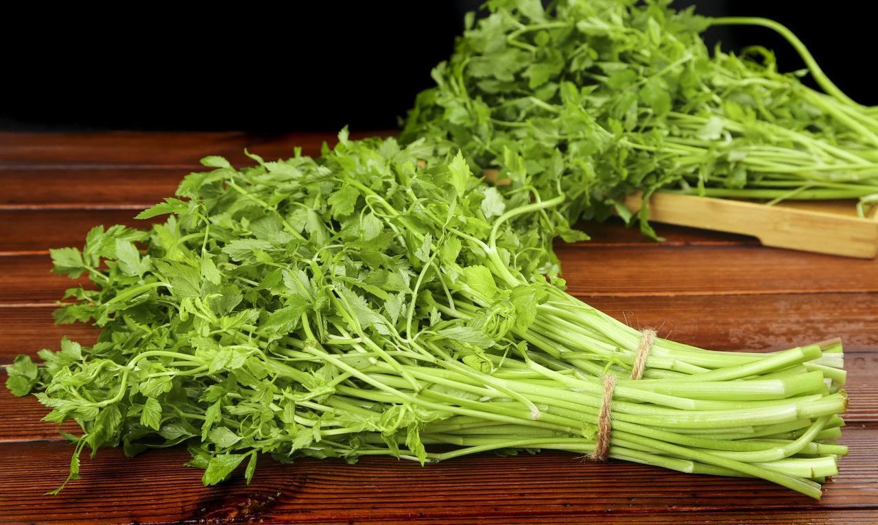 春天一定要吃的8种“芽”,错过再等一年! 春天一定要吃的8种“芽”,错过再等一年!