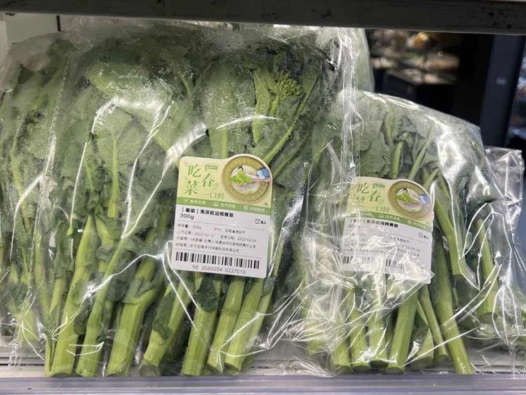 “板蓝根青菜”是药还是菜?春日新顶流上市 “板蓝根青菜”是药还是菜?春日新顶流上市