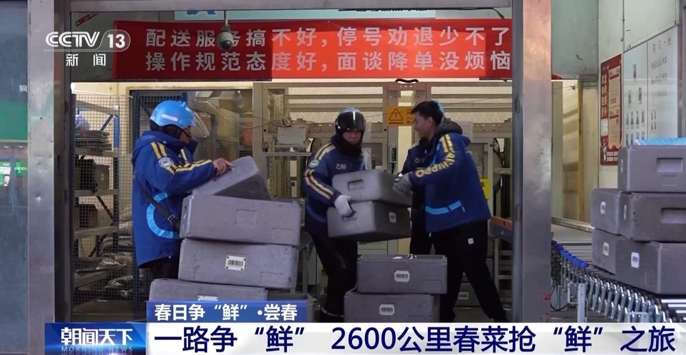 “舌尖上的春天”你尝到了吗？一起看春菜抢“鲜”之旅