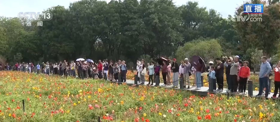 赏一片花海 邂逅春日浪漫 解锁一场春天里的闲适之旅 赏一片花海 邂逅春日浪漫 解锁一场春天里的闲适之旅