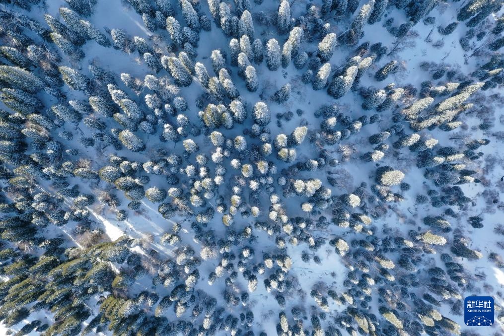 美丽中国丨那拉提雪景 美丽中国丨那拉提雪景
