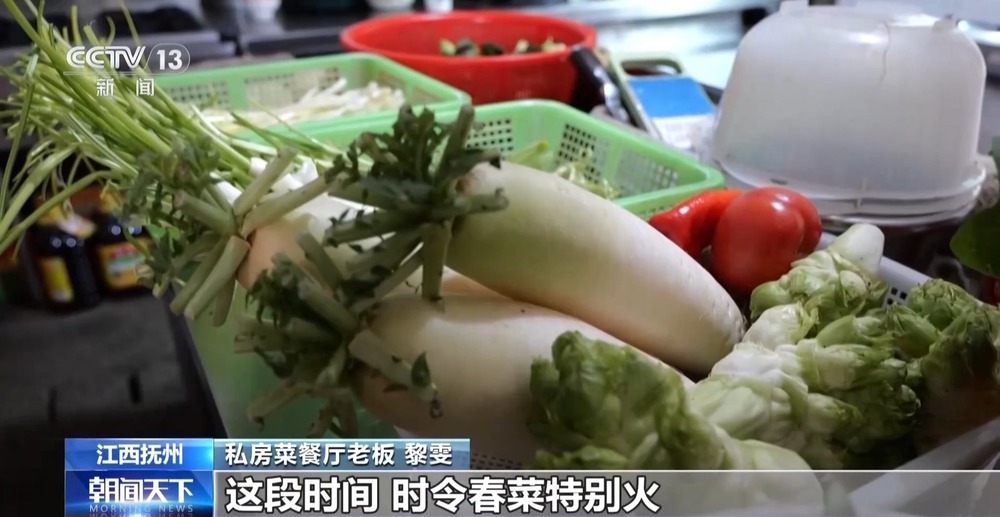 “舌尖上的春天”你尝到了吗？一起看春菜抢“鲜”之旅