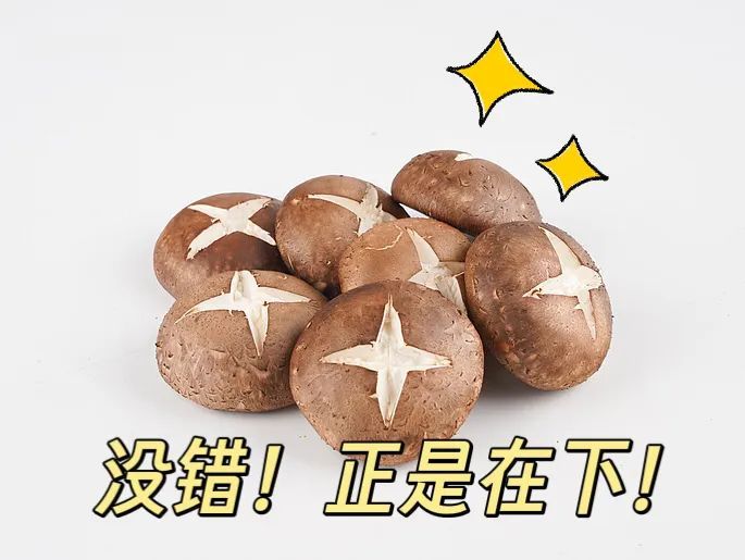 吓人!女子双腿像被“鞭打”,瘙痒难忍……竟是因为它 吓人!女子双腿像被“鞭打”,瘙痒难忍……竟是因为它