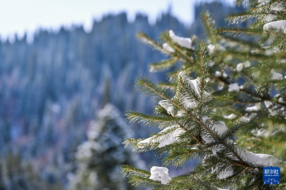 美丽中国丨那拉提雪景 美丽中国丨那拉提雪景
