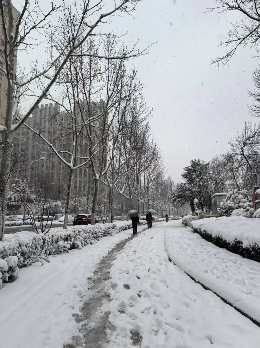 “三个小时下了一年多的雪”，山东双橙预警！这个市中小学明日停课一天