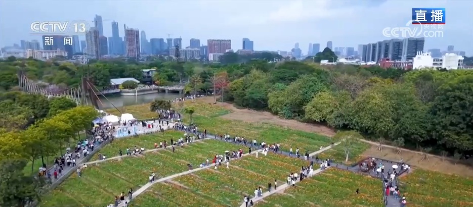 赏一片花海 邂逅春日浪漫 解锁一场春天里的闲适之旅 赏一片花海 邂逅春日浪漫 解锁一场春天里的闲适之旅