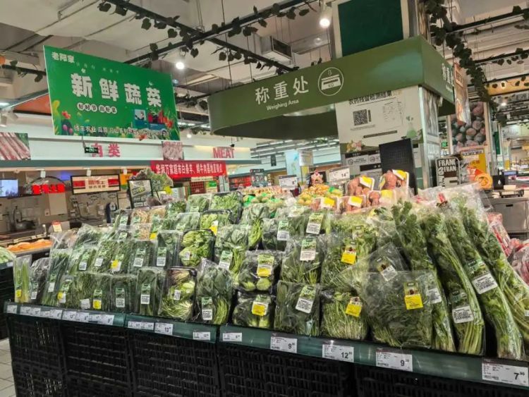 “板蓝根青菜”是药还是菜?春日新顶流上市 “板蓝根青菜”是药还是菜?春日新顶流上市