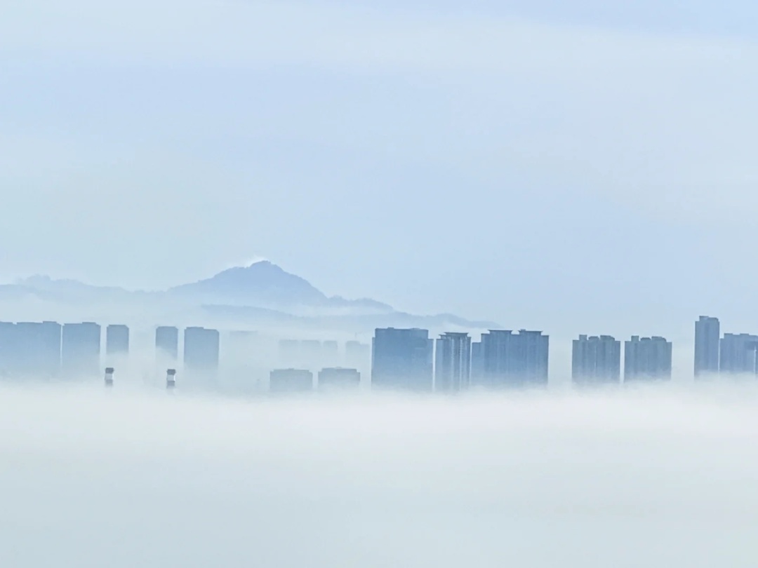 厦门惊现奇观!冲上热搜! 厦门惊现奇观!冲上热搜!