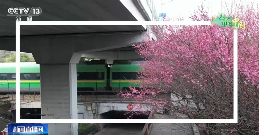 春天里的中国生机勃勃绘就锦绣画卷 “赏花经济”既有“颜值”又有“产值”
