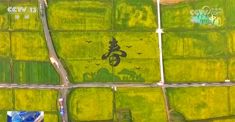 春天里的中国生机勃勃绘就锦绣画卷 “赏花经济”既有“颜值”又有“产值”