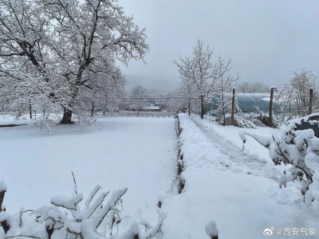 西安这里中到大雪！陕西部分高速收费站入口临时管控→