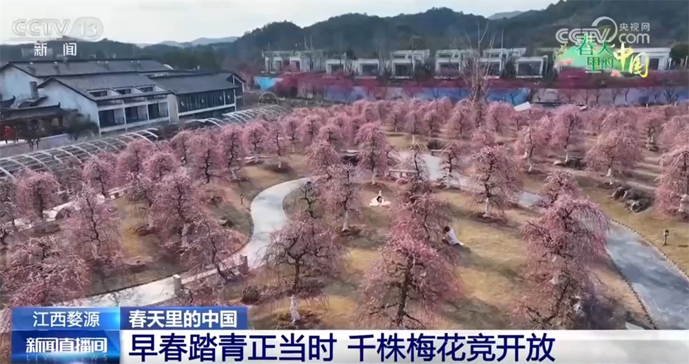 草长莺飞三月天 神州大地徐徐铺展一幅幅色彩斑斓的春日画卷
