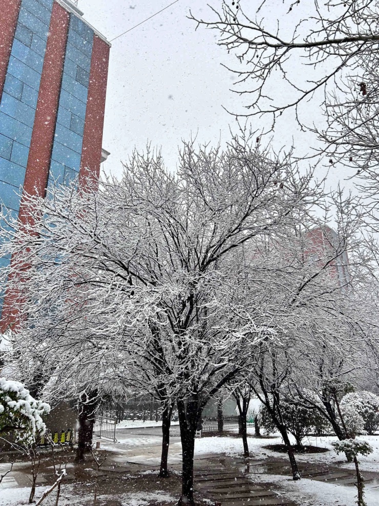 大到暴雪！多地中小学停课！河南也下了