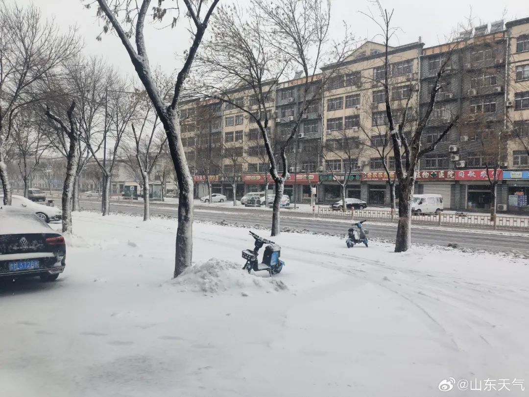山东降雪持续！今明两天，5市有中到大雪，鲁西北局部小雪