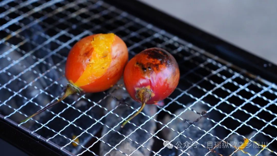 200元一斤！云南这种野菜你吃过吗？