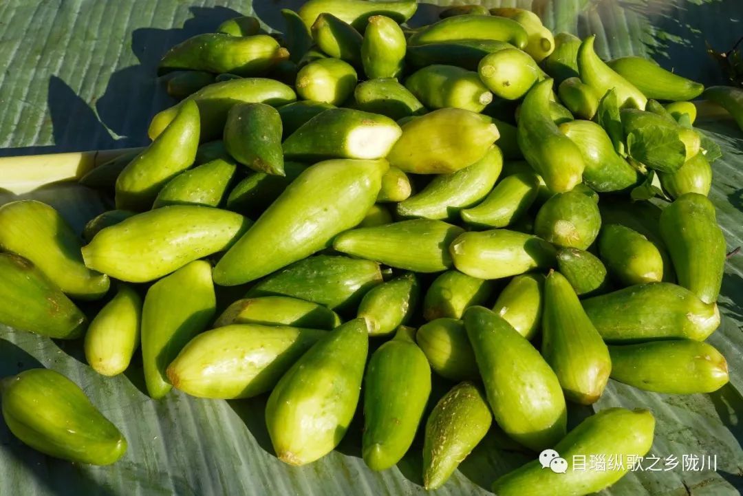 200元一斤！云南这种野菜你吃过吗？
