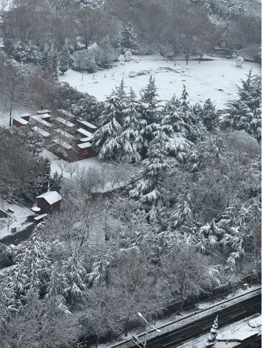 郑州下雪啦！河南多地有大到暴雪