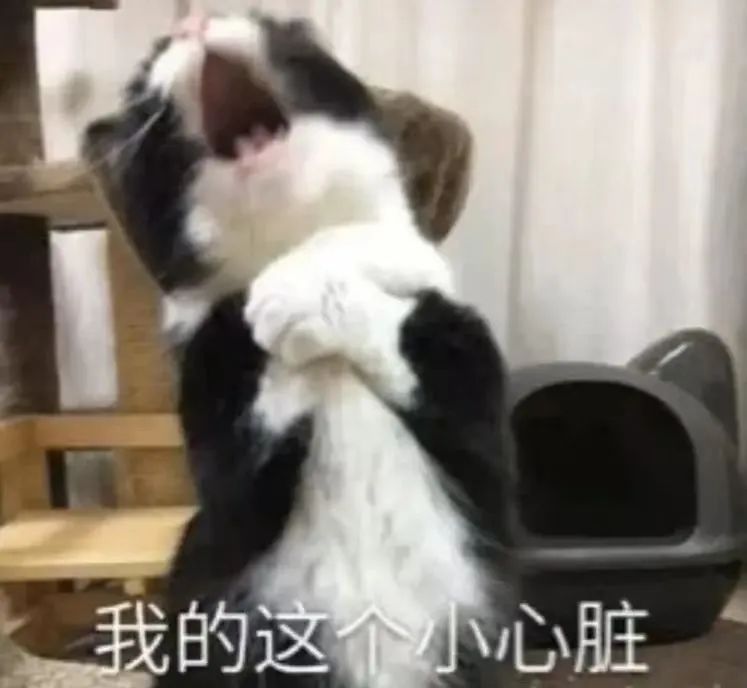 刚刚！江西下冰雹了！