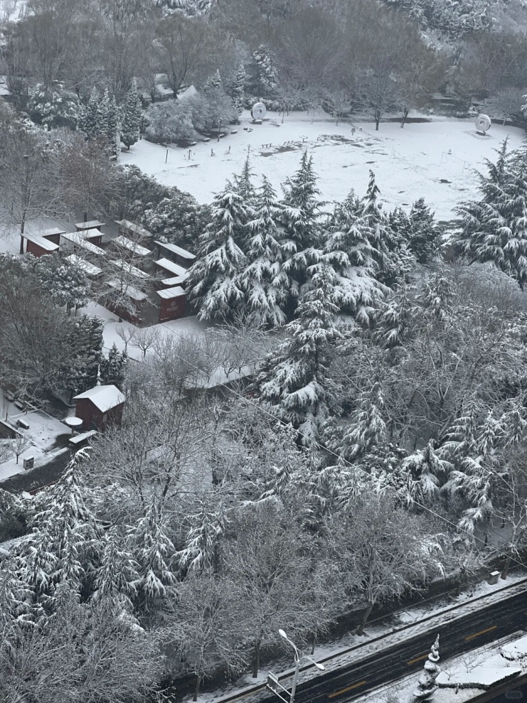 大到暴雪！多地中小学停课！河南也下了