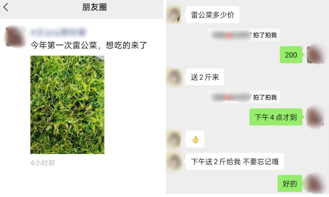 200元一斤！云南这种野菜你吃过吗？