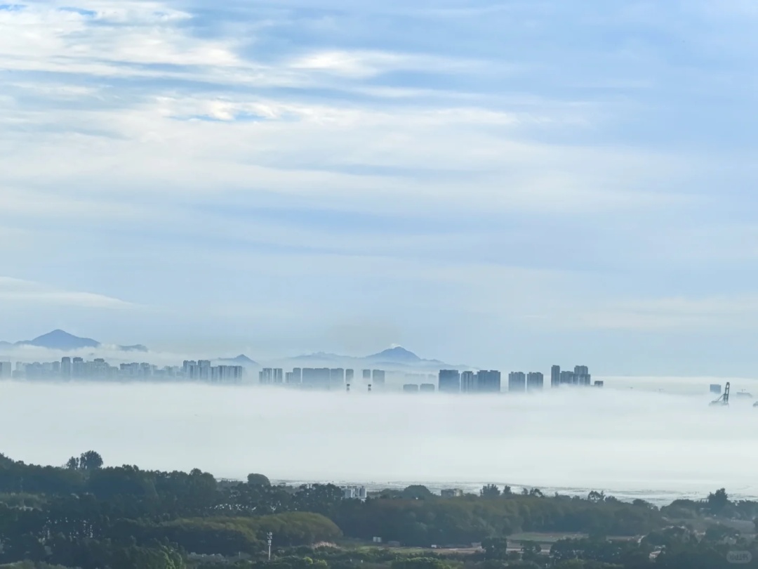 厦门惊现奇观!冲上热搜! 厦门惊现奇观!冲上热搜!