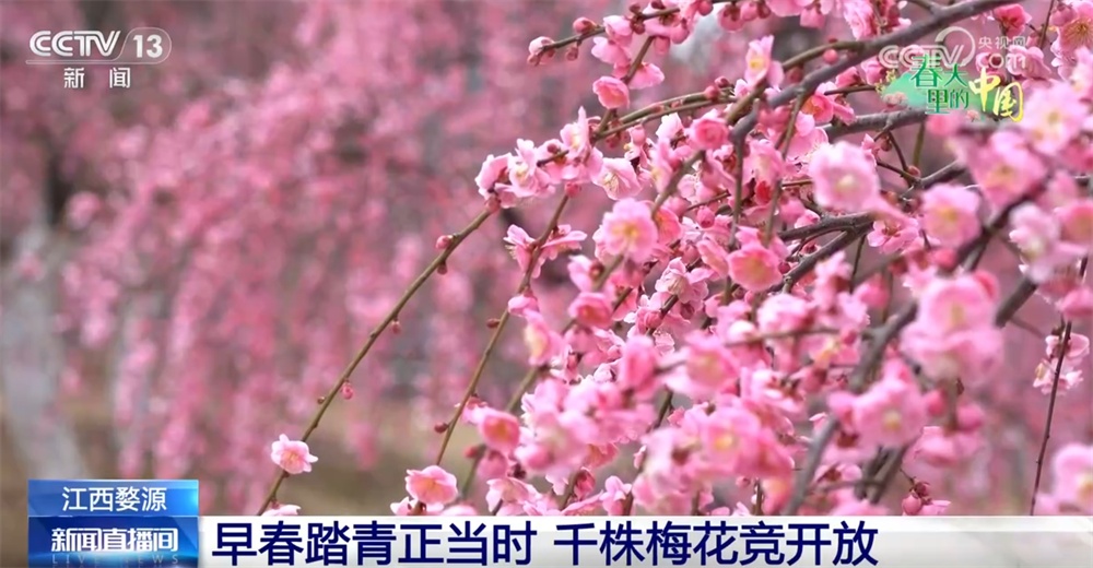 草长莺飞三月天 神州大地徐徐铺展一幅幅色彩斑斓的春日画卷