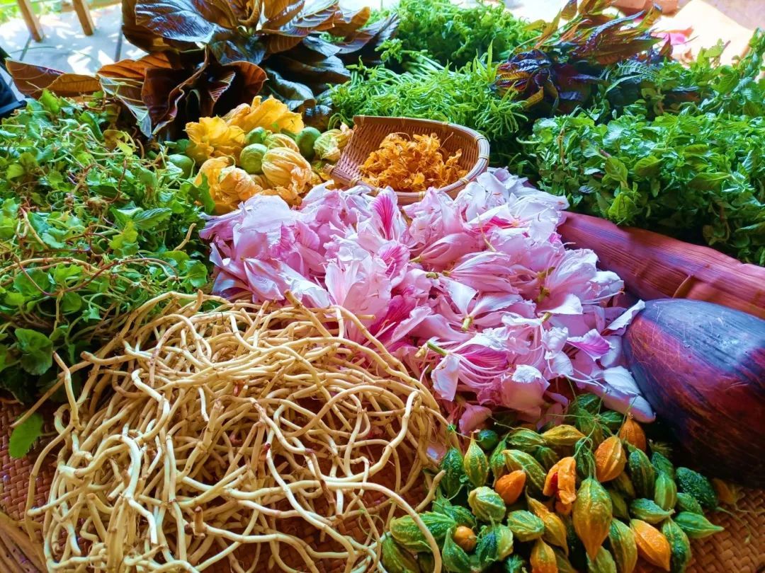 200元一斤！云南这种野菜你吃过吗？