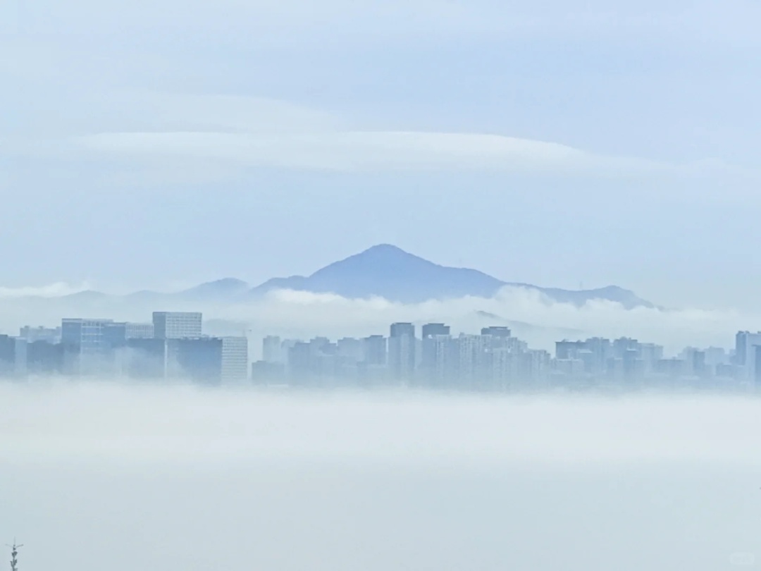 厦门惊现奇观!冲上热搜! 厦门惊现奇观!冲上热搜!