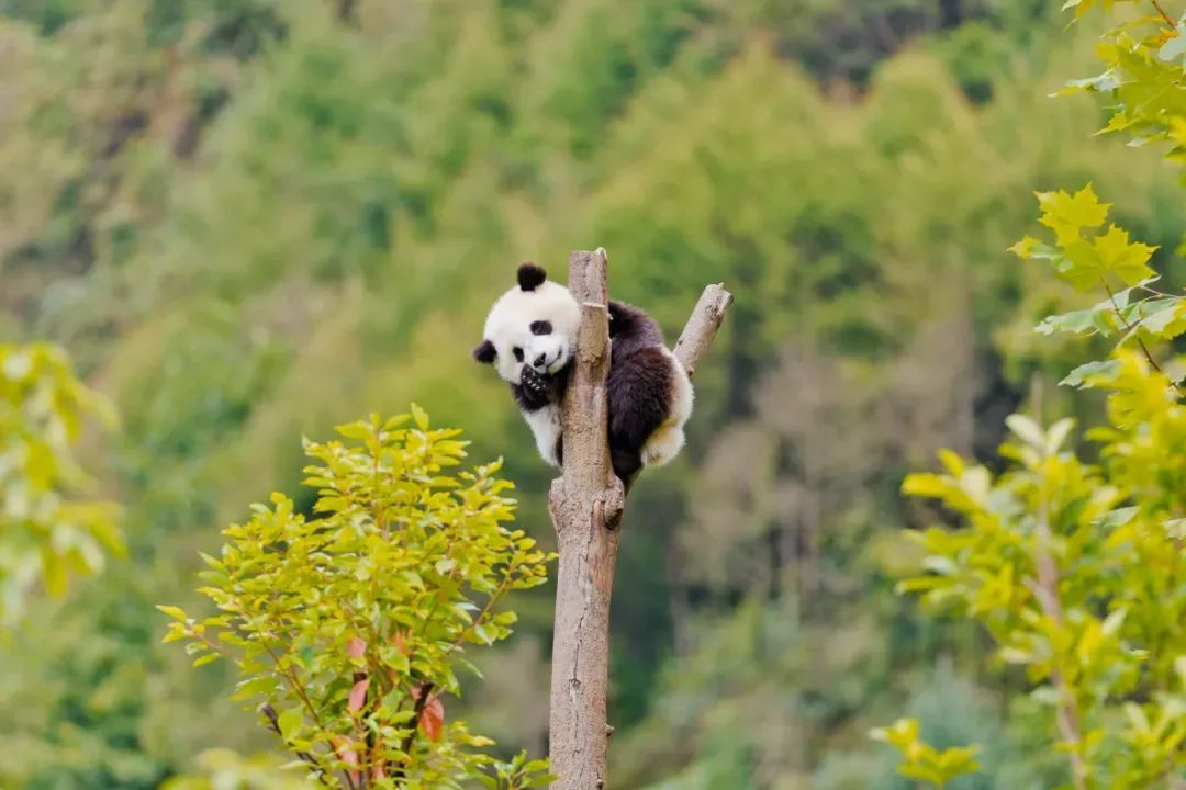 女性免费、半价!多地宣布 女性免费、半价!多地宣布