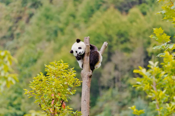 免票、半价!全国多地景区官宣:一大批 “她优惠”专属福利来啦! 免票、半价!全国多地景区官宣:一大批 “她优惠”专属福利来啦!