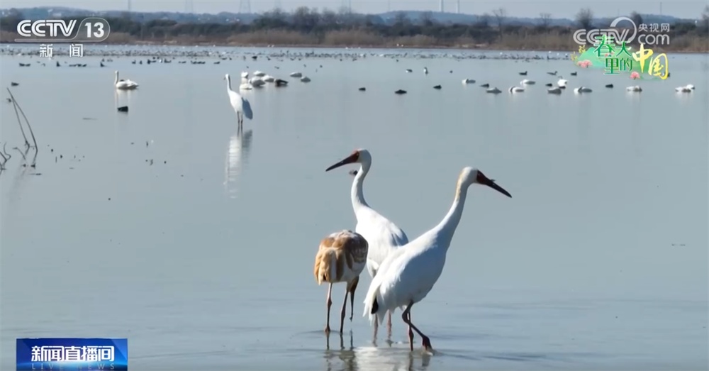 草长莺飞三月天 神州大地徐徐铺展一幅幅色彩斑斓的春日画卷