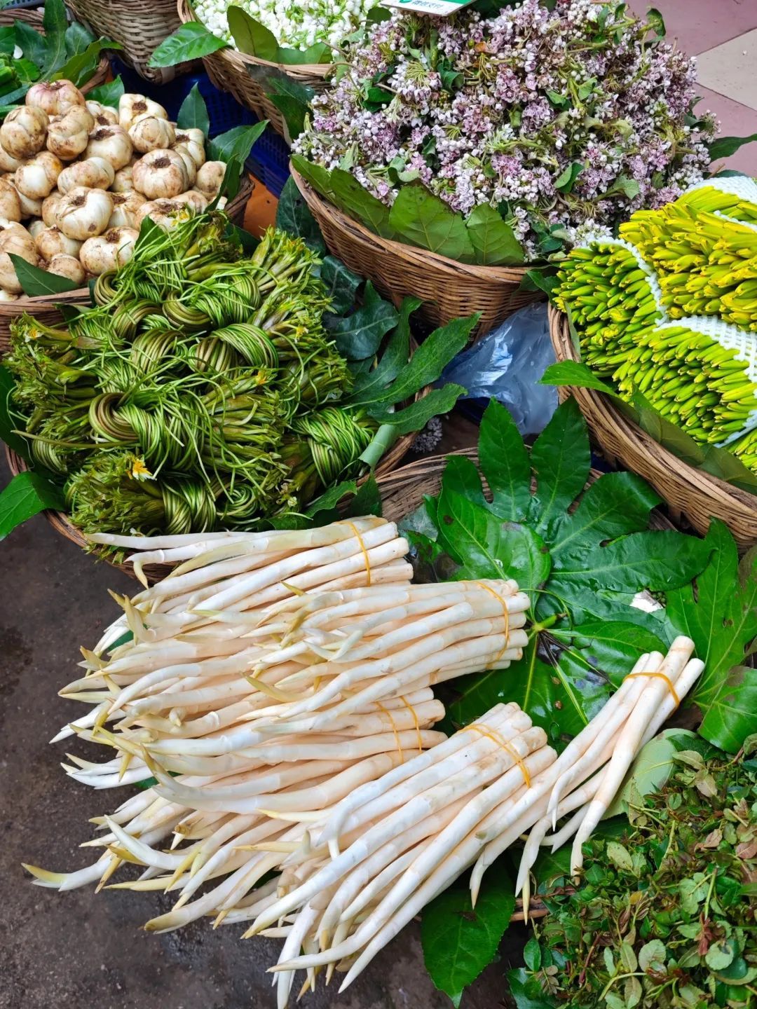 200元一斤！云南这种野菜你吃过吗？