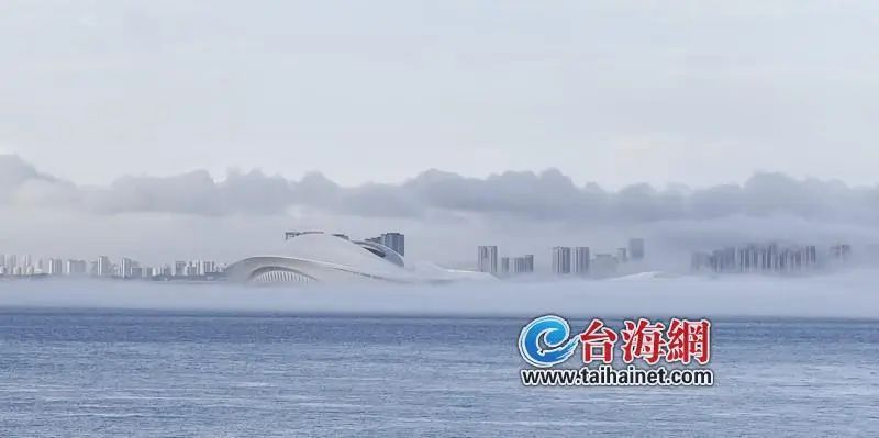 厦门惊现奇观!冲上热搜! 厦门惊现奇观!冲上热搜!