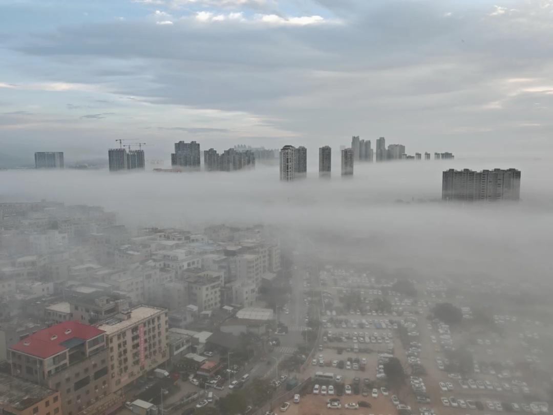 厦门惊现奇观!冲上热搜! 厦门惊现奇观!冲上热搜!