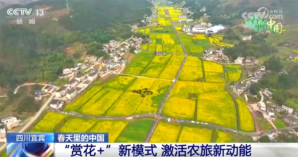 春天里的中国生机勃勃绘就锦绣画卷 “赏花经济”既有“颜值”又有“产值”