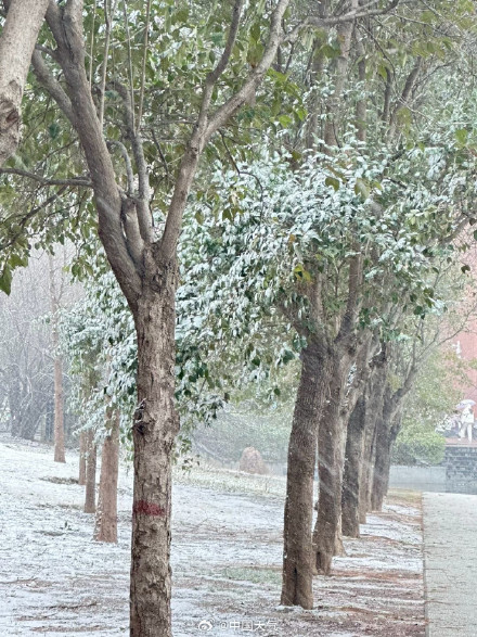 河南是捅了雪窝了吧 下午到夜里局地还有暴雪! 河南是捅了雪窝了吧 下午到夜里局地还有暴雪!