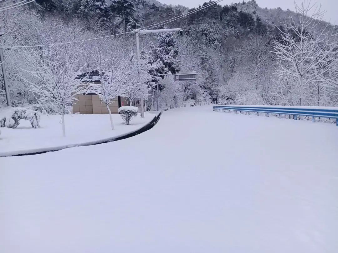 西安这里中到大雪！陕西部分高速收费站入口临时管控→