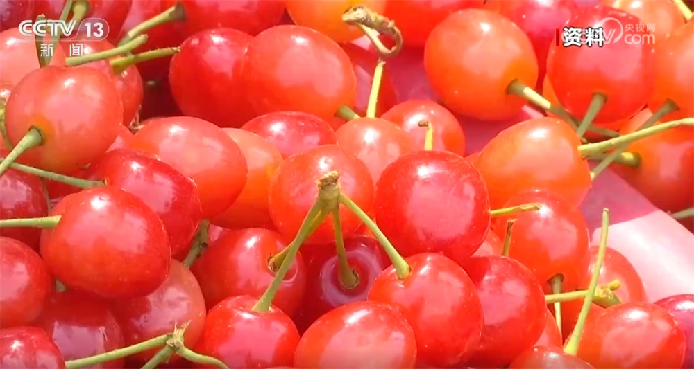 春天里的中国生机勃勃绘就锦绣画卷 “赏花经济”既有“颜值”又有“产值”