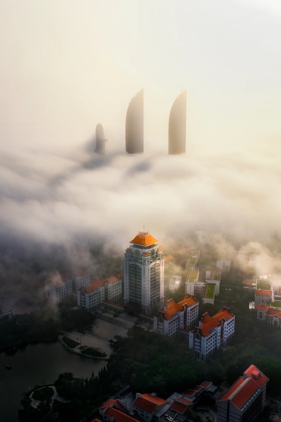 厦门惊现奇观!冲上热搜! 厦门惊现奇观!冲上热搜!