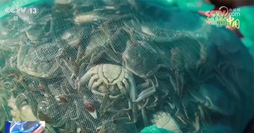 草长莺飞三月天 神州大地徐徐铺展一幅幅色彩斑斓的春日画卷