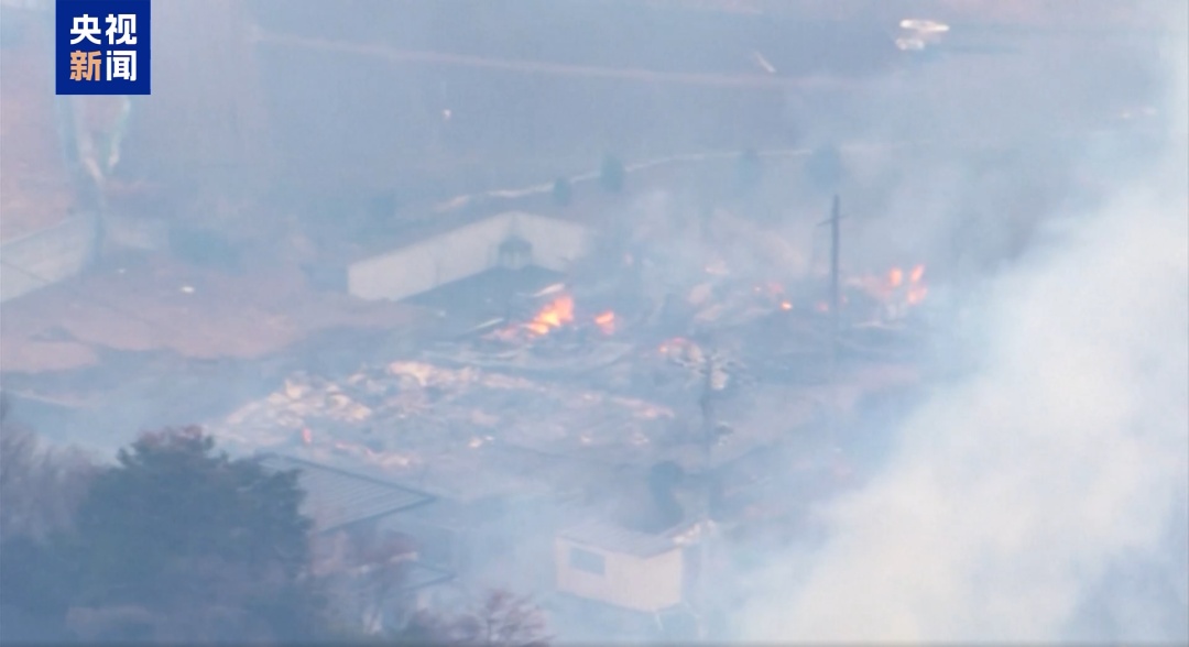 日本发生大规模山火,已有人死亡 日本发生大规模山火,已有人死亡