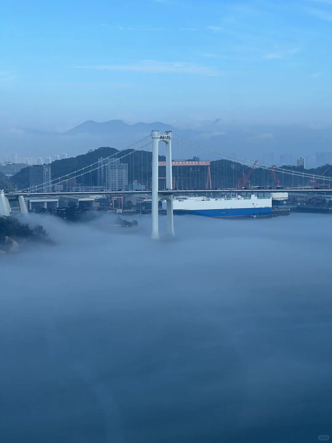 厦门惊现奇观!冲上热搜! 厦门惊现奇观!冲上热搜!