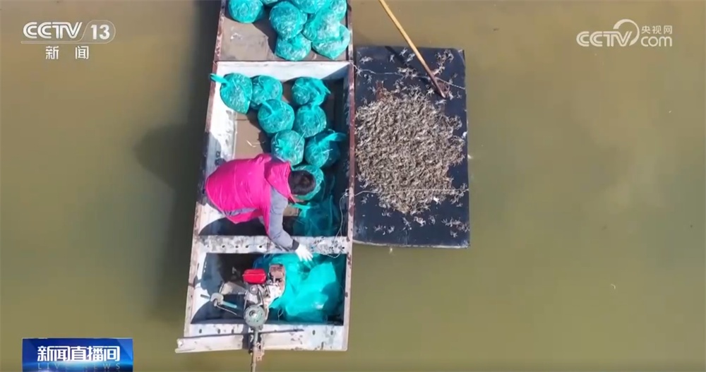 草长莺飞三月天 神州大地徐徐铺展一幅幅色彩斑斓的春日画卷