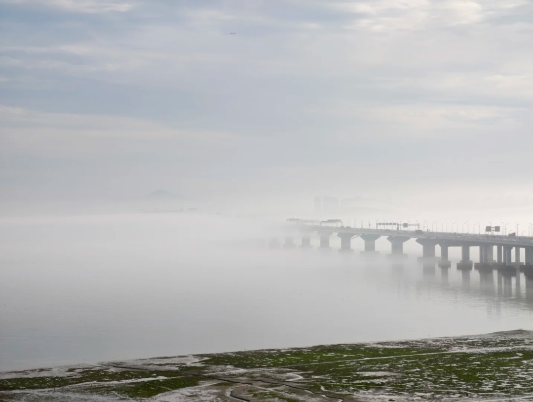 厦门惊现奇观!冲上热搜! 厦门惊现奇观!冲上热搜!
